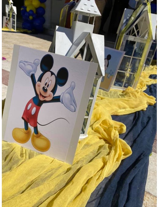 ΣΤΟΛΙΣΜΟΣ ΒΑΠΤΙΣΗΣ ΜΕ ΘΕΜΑ ΜΙΚΥ ΜΑΟΥΣ